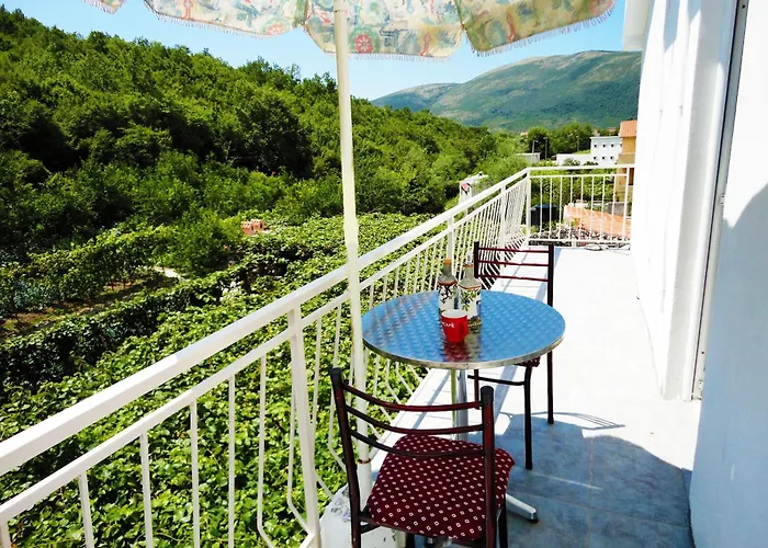 Apartments Radonjic